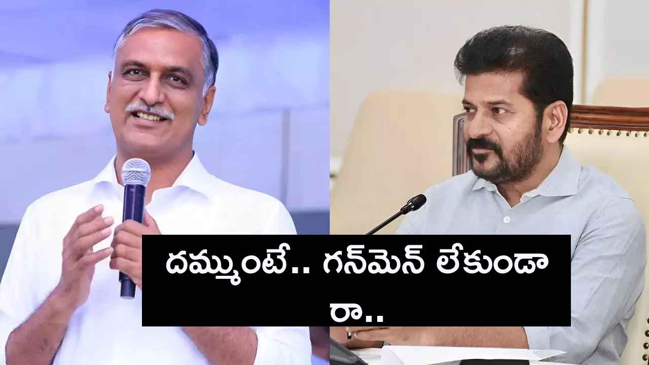 దమ్ముంటే.. గన్మెన్ లేకుండా అశోక్ నగర్, ఓయూకి రావాలి- సీఎం రేవంత్ కి హరీశ్ సవాల్ దమ్ముంటే.. గన్మెన్ లేకుండా అశోక్ నగర్, ఓయూకి రావాలి- సీఎం రేవంత్ కి హరీశ్ సవాల్