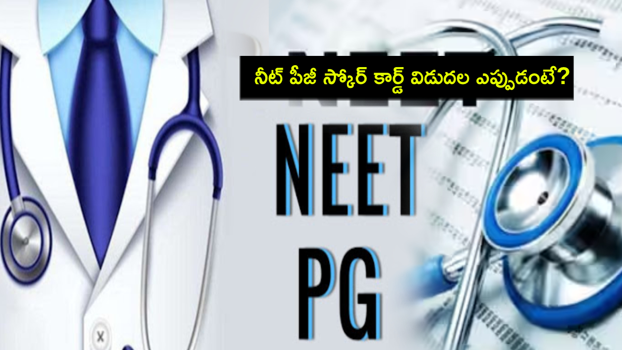 NEET PG 2024 : ఈ నెల 30న నీట్ పీజీ స్కోర్కార్డ్ రిలీజ్.. పూర్తి వివరాలు మీకోసం..! NEET PG 2024 : ఈ నెల 30న నీట్ పీజీ స్కోర్కార్డ్ రిలీజ్.. పూర్తి వివరాలు మీకోసం..!
