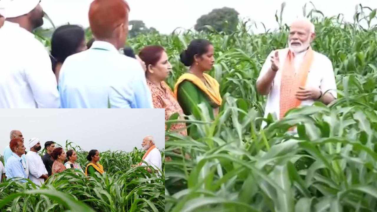 109 రకాల కొత్త వంగడాలు.. విడుదల చేసిన ప్రధాని మోదీ 109 రకాల కొత్త వంగడాలు.. విడుదల చేసిన ప్రధాని మోదీ