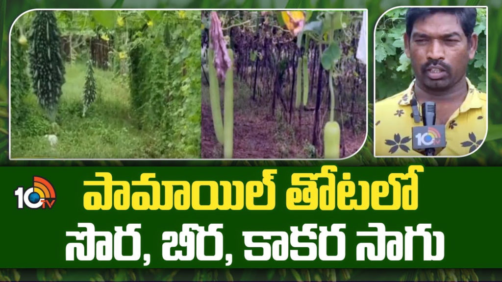 Organic Farming Tips