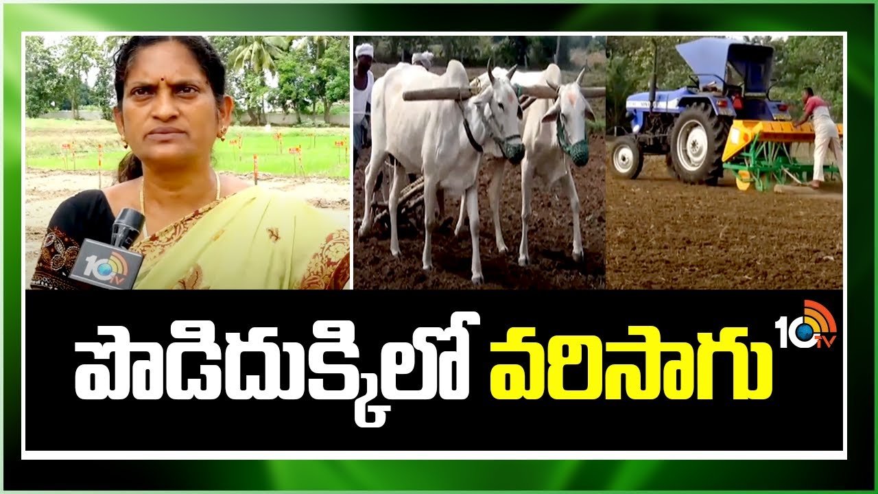 Paddy Cultivation : ఖరీఫ్లో నేరుగా వరి వెదజల్లే పద్ధతికే మొగ్గుచూపుతున్న రైతులు Paddy Cultivation : ఖరీఫ్లో నేరుగా వరి వెదజల్లే పద్ధతికే మొగ్గుచూపుతున్న రైతులు