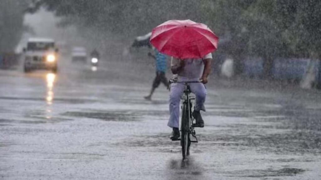 Rain