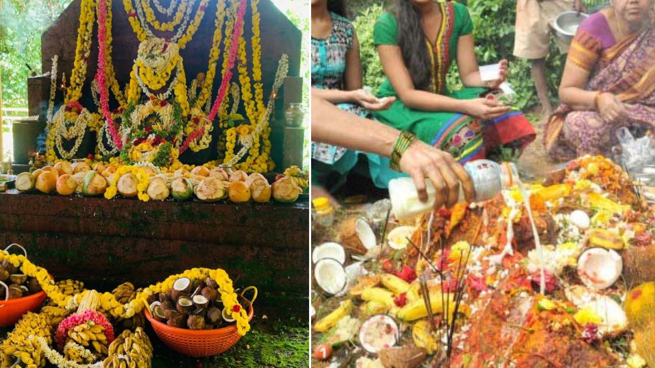 భక్తి శ్రద్దలతో నాగ పంచమి వేడుకలు.. భక్తులతో కిటకిటలాడిన ఆలయాలు భక్తి శ్రద్దలతో నాగ పంచమి వేడుకలు.. భక్తులతో కిటకిటలాడిన ఆలయాలు