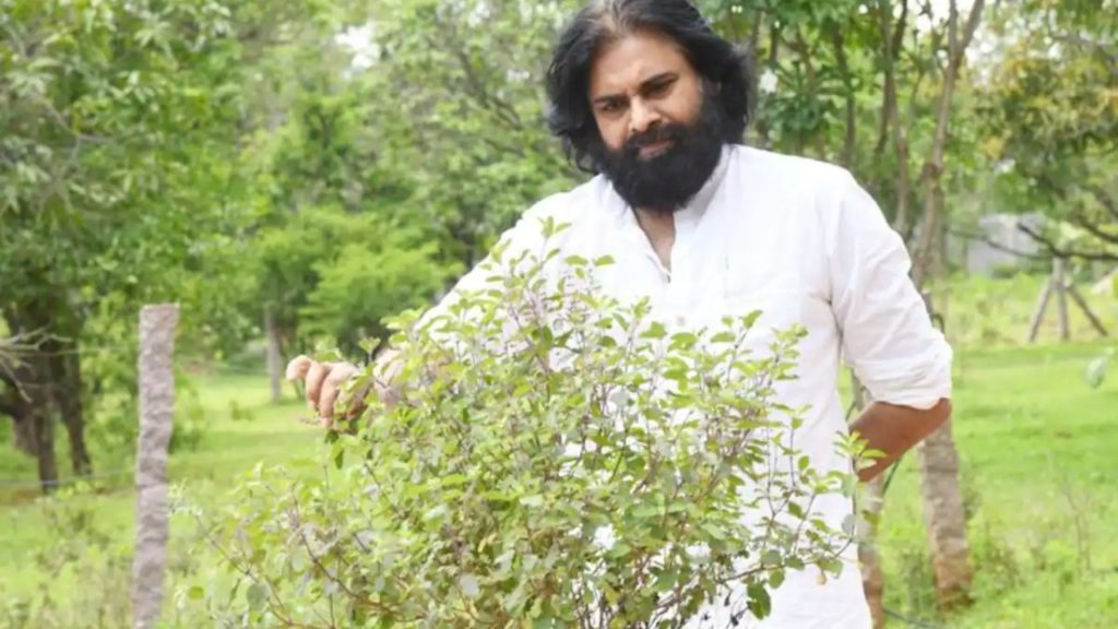 Janasena Party Announced Clean Andhra Green Andhra Program on Pawan Kalyan Birthday