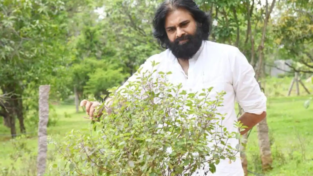 Pawan Kalyan : పవన్ కళ్యాణ్ పుట్టిన రోజు నాడు క్లీన్ ఆంధ్ర.. గ్రీన్ ఆంధ్ర ప్రోగ్రామ్.. Pawan Kalyan : పవన్ కళ్యాణ్ పుట్టిన రోజు నాడు క్లీన్ ఆంధ్ర.. గ్రీన్ ఆంధ్ర ప్రోగ్రామ్..