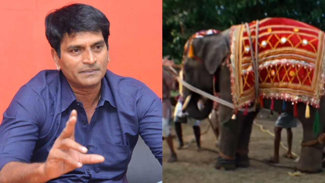 Ravibabu – Murari : పదేళ్ల తర్వాత ‘మురారి’ సినిమా ఏనుగు నన్ను గుర్తుపట్టింది.. రవిబాబు ఆసక్తికర వ్యాఖ్యలు.. Ravibabu – Murari : పదేళ్ల తర్వాత ‘మురారి’ సినిమా ఏనుగు నన్ను గుర్తుపట్టింది.. రవిబాబు ఆసక్తికర వ్యాఖ్యలు..