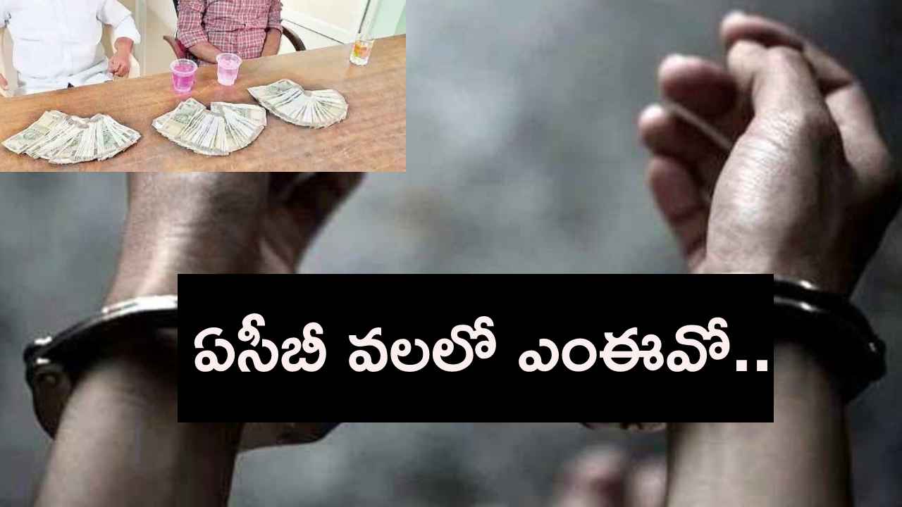వామ్మో.. రూ.2లక్షలు లంచం తీసుకుంటూ రెడ్హ్యాండెడ్గా దొరికిపోయిన ఎంఈవో.. వామ్మో.. రూ.2లక్షలు లంచం తీసుకుంటూ రెడ్హ్యాండెడ్గా దొరికిపోయిన ఎంఈవో..
