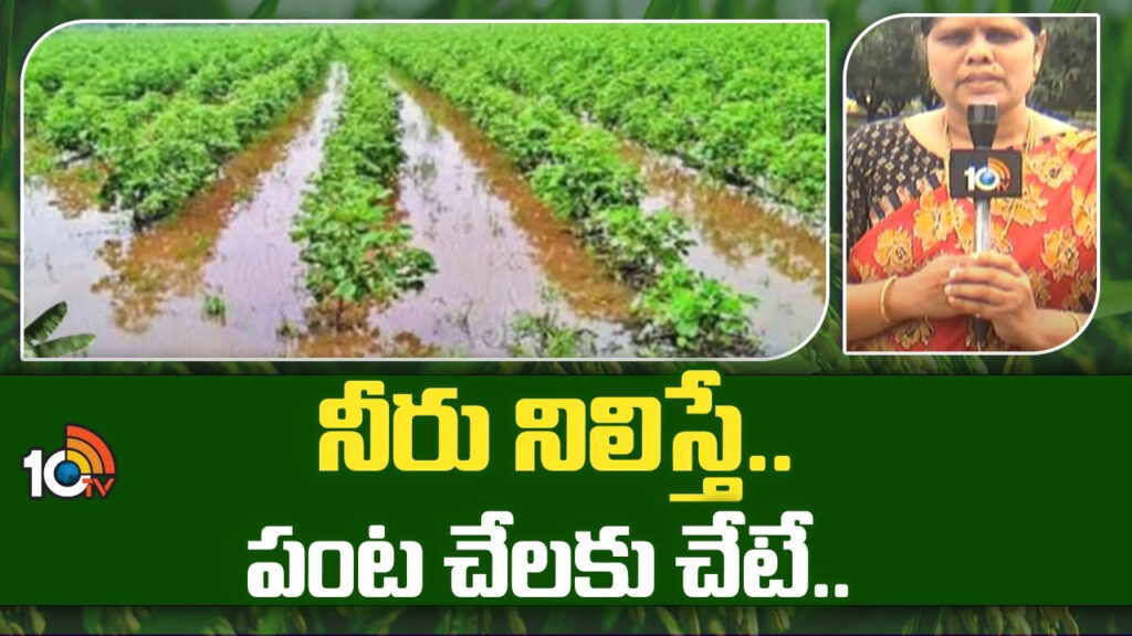 Agricultural Water Management With Sustainable Methods