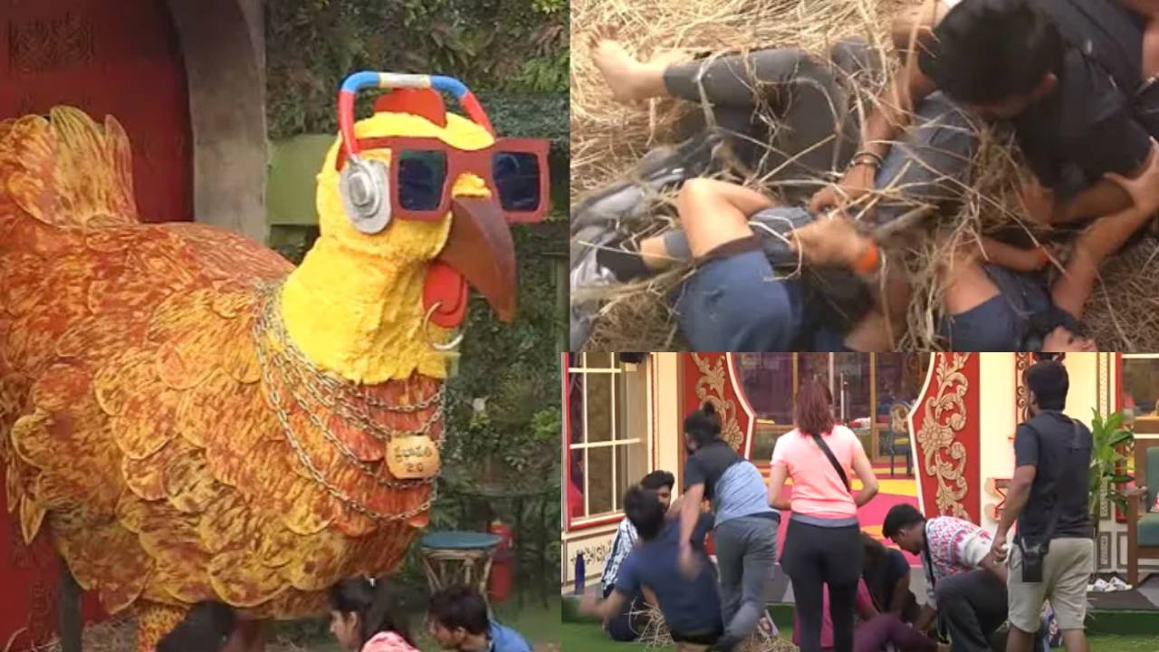 Bigg Boss 8 : బిగ్బాస్ హౌస్లో గుడ్ల కోసం కొట్లాట.. ఆదిత్యను ఎత్తి పడేసిన పృథ్వి.. టాస్క్ వద్దని చెప్పండన్న యష్మి.. Bigg Boss 8 : బిగ్బాస్ హౌస్లో గుడ్ల కోసం కొట్లాట.. ఆదిత్యను ఎత్తి పడేసిన పృథ్వి.. టాస్క్ వద్దని చెప్పండన్న యష్మి..