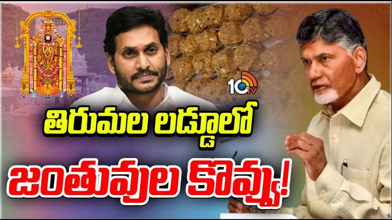 తిరుమల లడ్డూ ప్రసాదంపై సీఎం చంద్రబాబు సంచలన వ్యాఖ్యలు