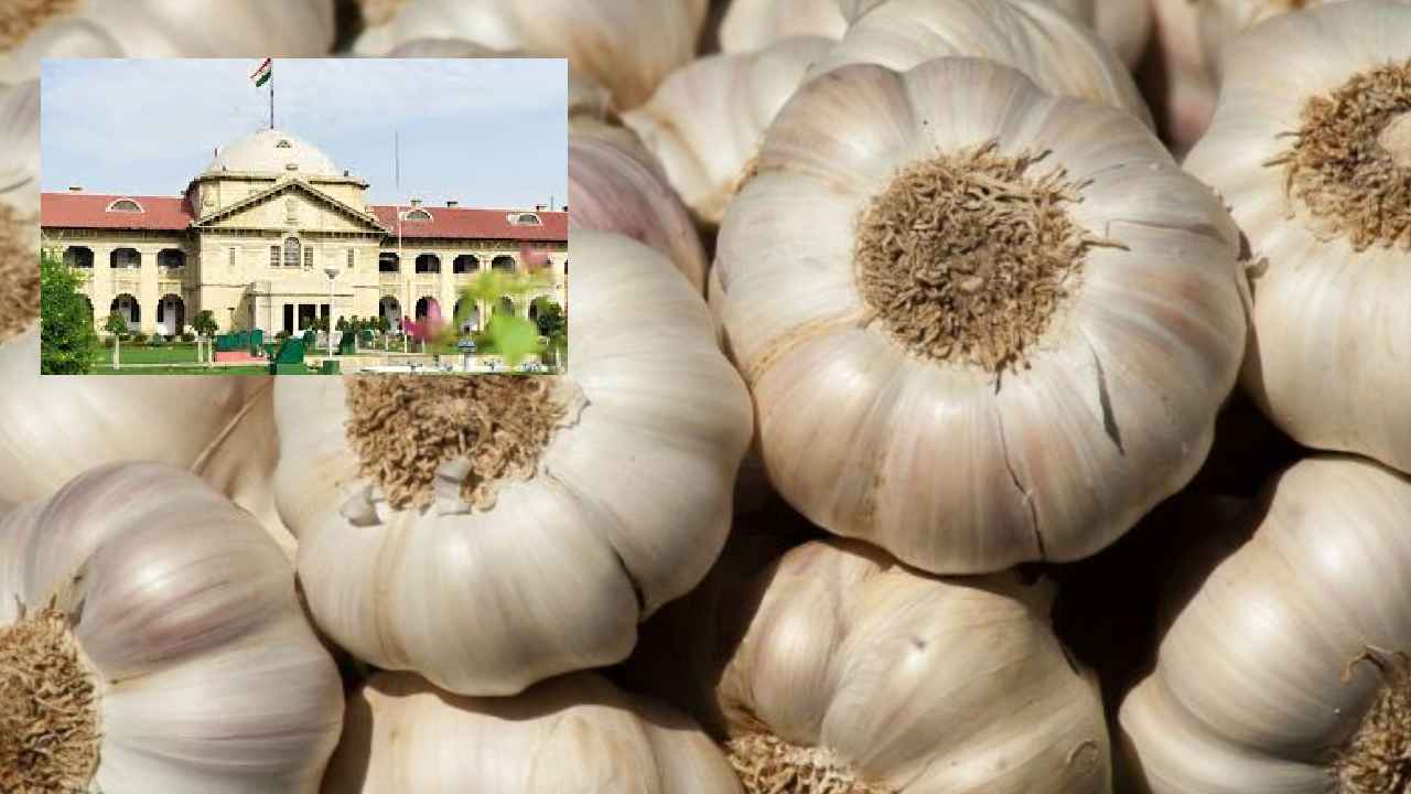 కోర్టు రూములోకి అర కిలో వెల్లుల్లి తీసుకొచ్చిన లాయర్.. న్యాయమూర్తి సీరియస్.. ఎందుకో తెలుసా.. కోర్టు రూములోకి అర కిలో వెల్లుల్లి తీసుకొచ్చిన లాయర్.. న్యాయమూర్తి సీరియస్.. ఎందుకో తెలుసా..