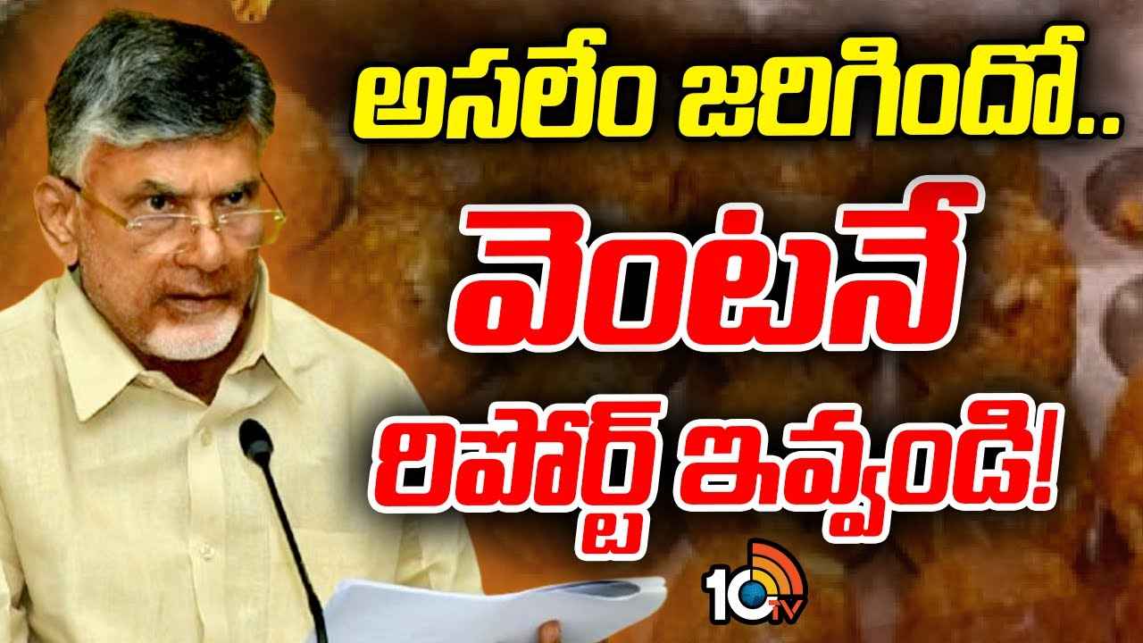 తిరుమల లడ్డూ వివాదంపై సీఎం చంద్రబాబు సమీక్ష.. అధికారులకు కీలక ఆదేశాలు తిరుమల లడ్డూ వివాదంపై సీఎం చంద్రబాబు సమీక్ష.. అధికారులకు కీలక ఆదేశాలు