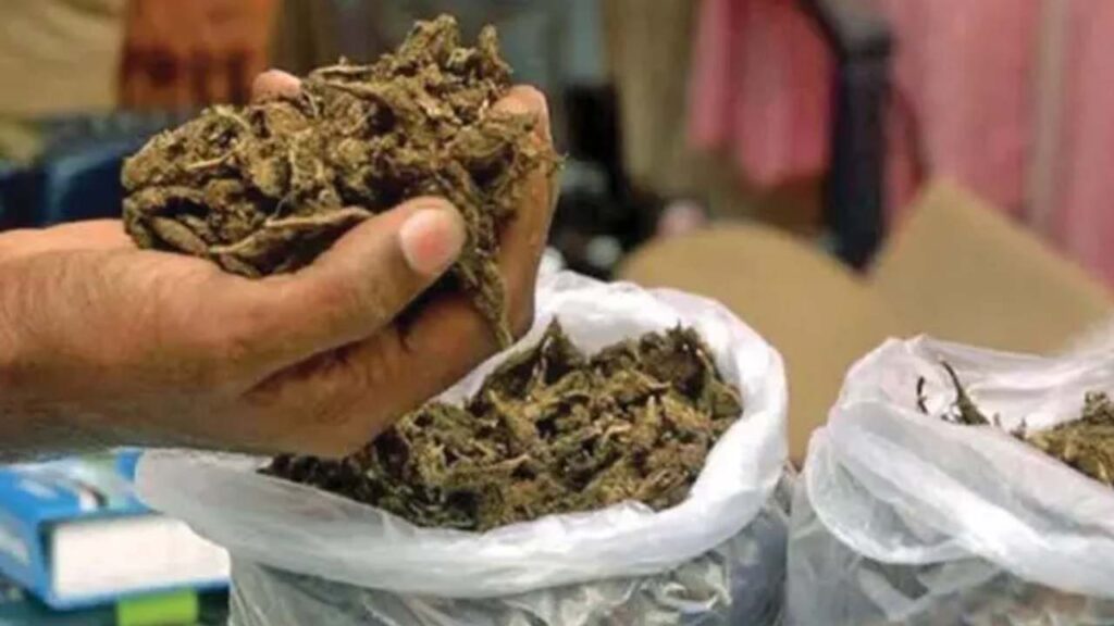 Ganja Transportation