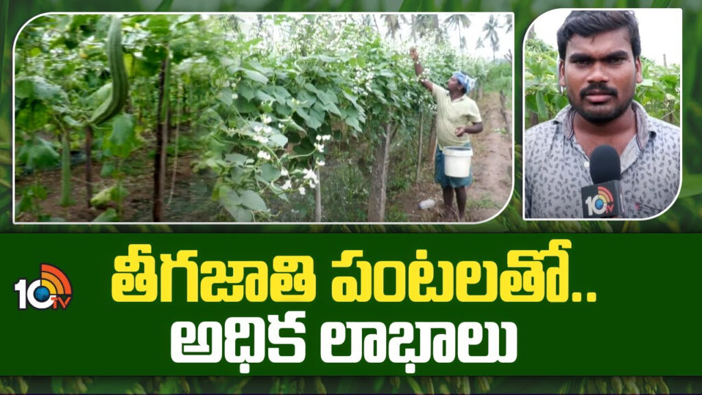 High Profit With Crops
