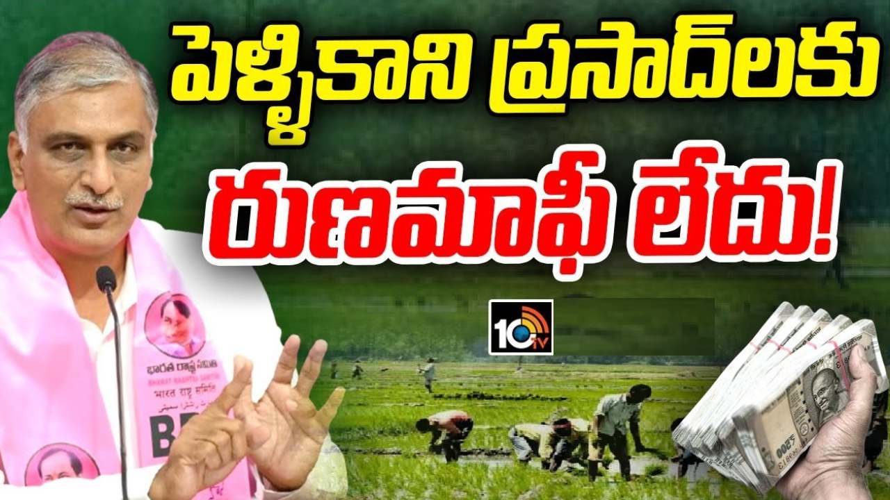 రుణమాఫీ లబ్దిదారులను ఆంక్షల పేరుతో వేధిస్తున్నారు.. కాంగ్రెస్ ప్రభుత్వంపై హరీశ్ రావు ఫైర్ రుణమాఫీ లబ్దిదారులను ఆంక్షల పేరుతో వేధిస్తున్నారు.. కాంగ్రెస్ ప్రభుత్వంపై హరీశ్ రావు ఫైర్
