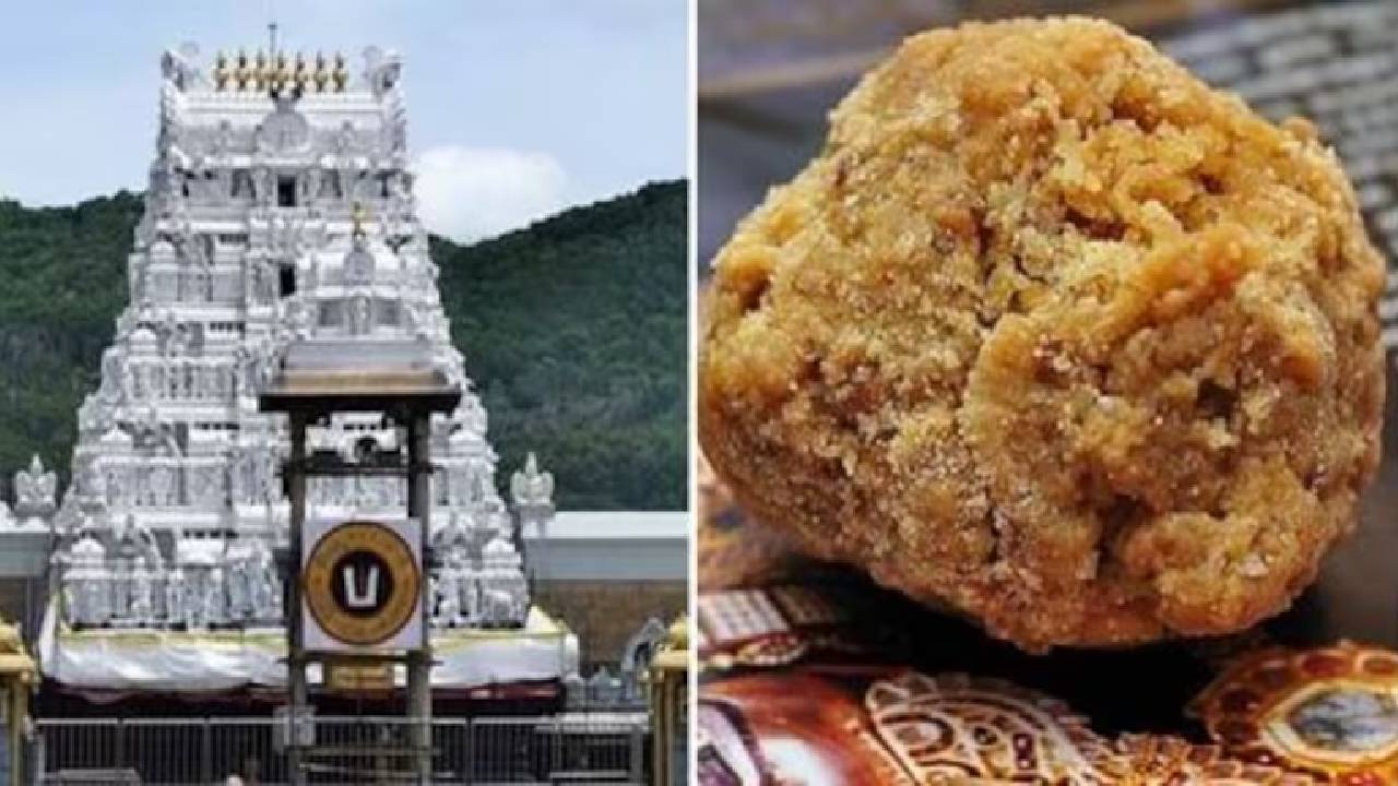 తెగని పంచాయితీగా శ్రీవారి లడ్డూ ఇష్యూ.. ఆగిన సిట్ దర్యాప్తు.. నెక్స్ట్ ఏం జరగబోతుంది? తెగని పంచాయితీగా శ్రీవారి లడ్డూ ఇష్యూ.. ఆగిన సిట్ దర్యాప్తు.. నెక్స్ట్ ఏం జరగబోతుంది?