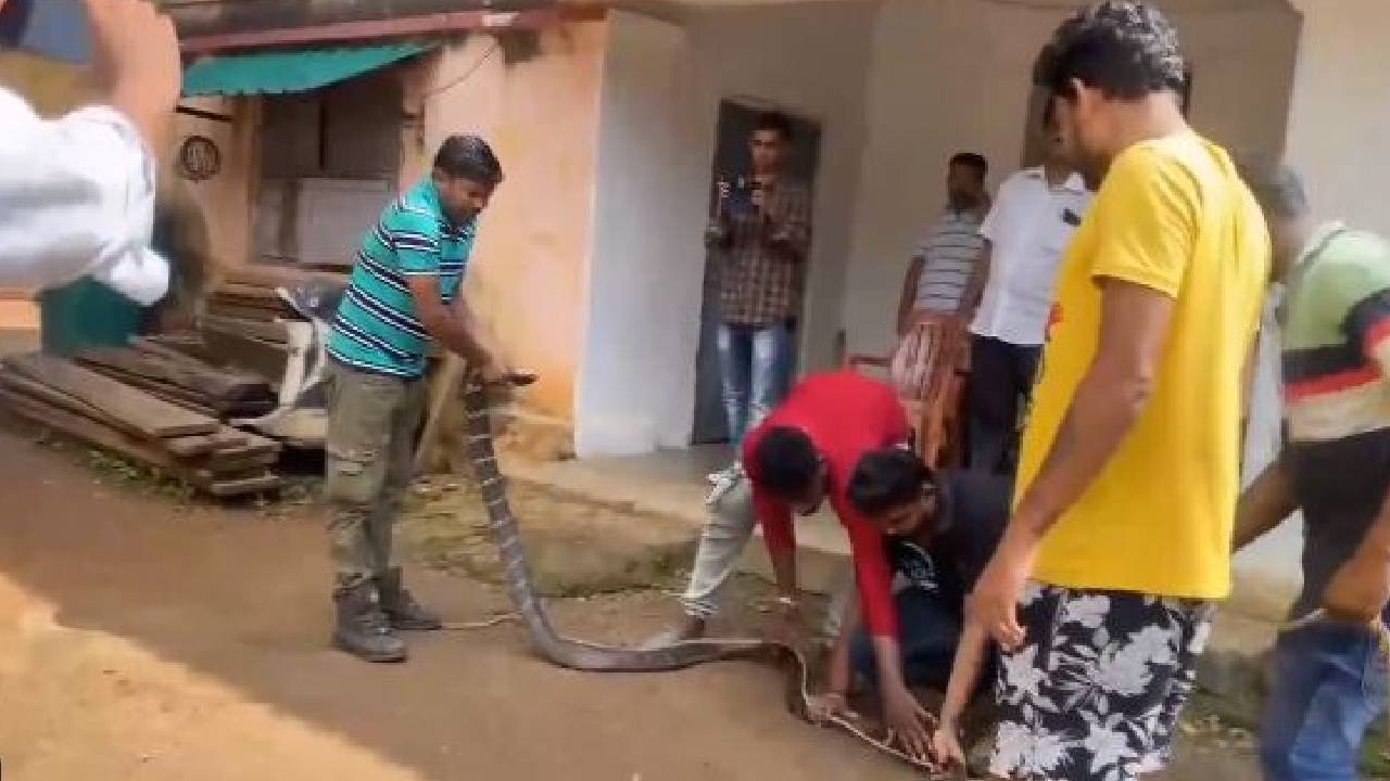 Video: తలుచుకుంటేనే ఒళ్లు జలదరిస్తుంది.. ఇక వీళ్లు ఇంత పెద్ద పాముని పట్టిన తీరు చూస్తే.. Video: తలుచుకుంటేనే ఒళ్లు జలదరిస్తుంది.. ఇక వీళ్లు ఇంత పెద్ద పాముని పట్టిన తీరు చూస్తే..