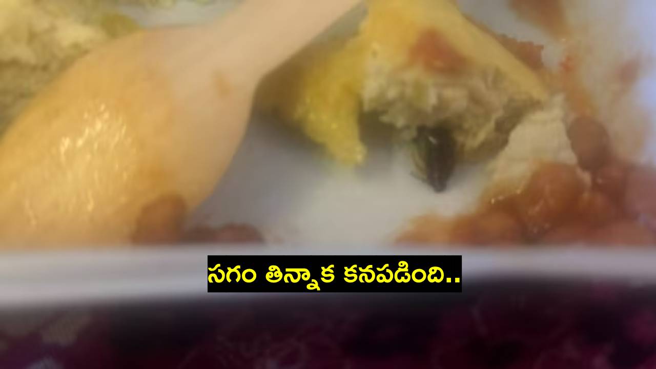 ఆహారంలో బొద్దింక.. ఫుడ్ పాయిజనింగ్.. వీడియో పోస్ట్ చేసిన కస్టమర్ ఆహారంలో బొద్దింక.. ఫుడ్ పాయిజనింగ్.. వీడియో పోస్ట్ చేసిన కస్టమర్