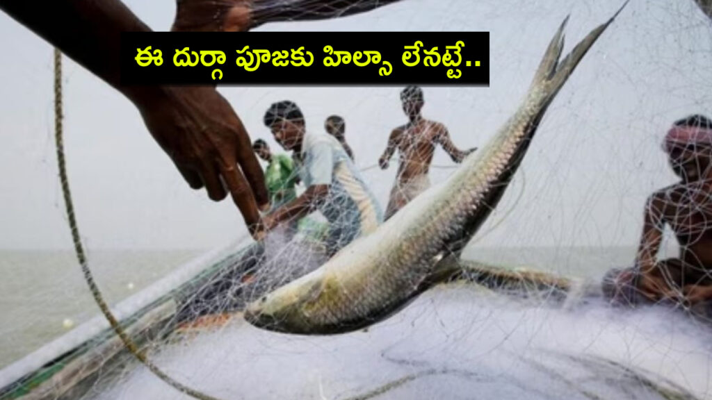 No Hilsa From Bangladesh For Bengalis in India This Durga Puj
