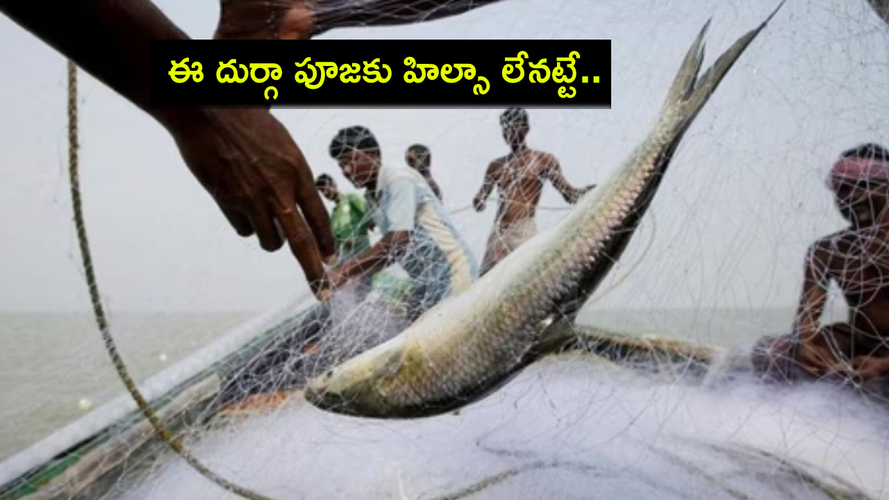 Bangladesh Hilsa : బెంగాలీలకు బంగ్లాదేశ్ షాక్.. క్షమించండి.. ఈ దుర్గా పూజకు ‘హిల్సా’ను పంపలేం..! Bangladesh Hilsa : బెంగాలీలకు బంగ్లాదేశ్ షాక్.. క్షమించండి.. ఈ దుర్గా పూజకు ‘హిల్సా’ను పంపలేం..!