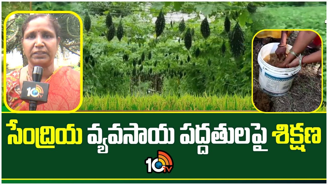 Organic Farming : సేంద్రియ వ్యవసాయ పద్దతులపై శిక్షణ Organic Farming : సేంద్రియ వ్యవసాయ పద్దతులపై శిక్షణ