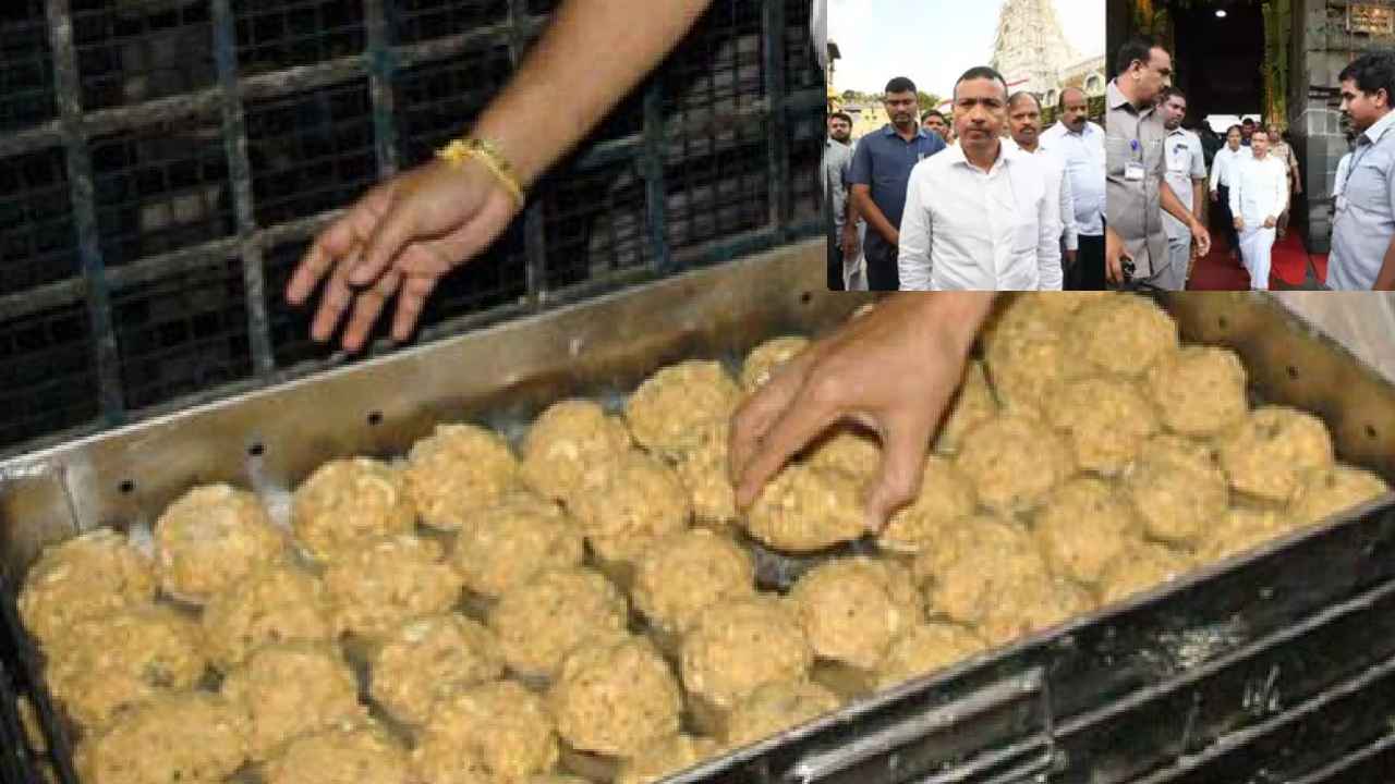 తిరుమల లడ్డూ వివాదం.. జోరు పెంచిన సిట్, దర్యాఫ్తు ఎలా చేయనుందంటే.. తిరుమల లడ్డూ వివాదం.. జోరు పెంచిన సిట్, దర్యాఫ్తు ఎలా చేయనుందంటే..
