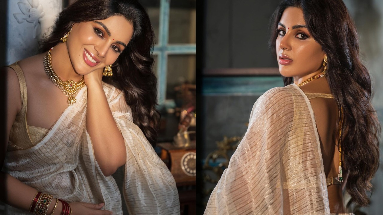 Samyuktha : ఓనమ్ స్పెషల్.. చీరలో సంయుక్త పోజులు..