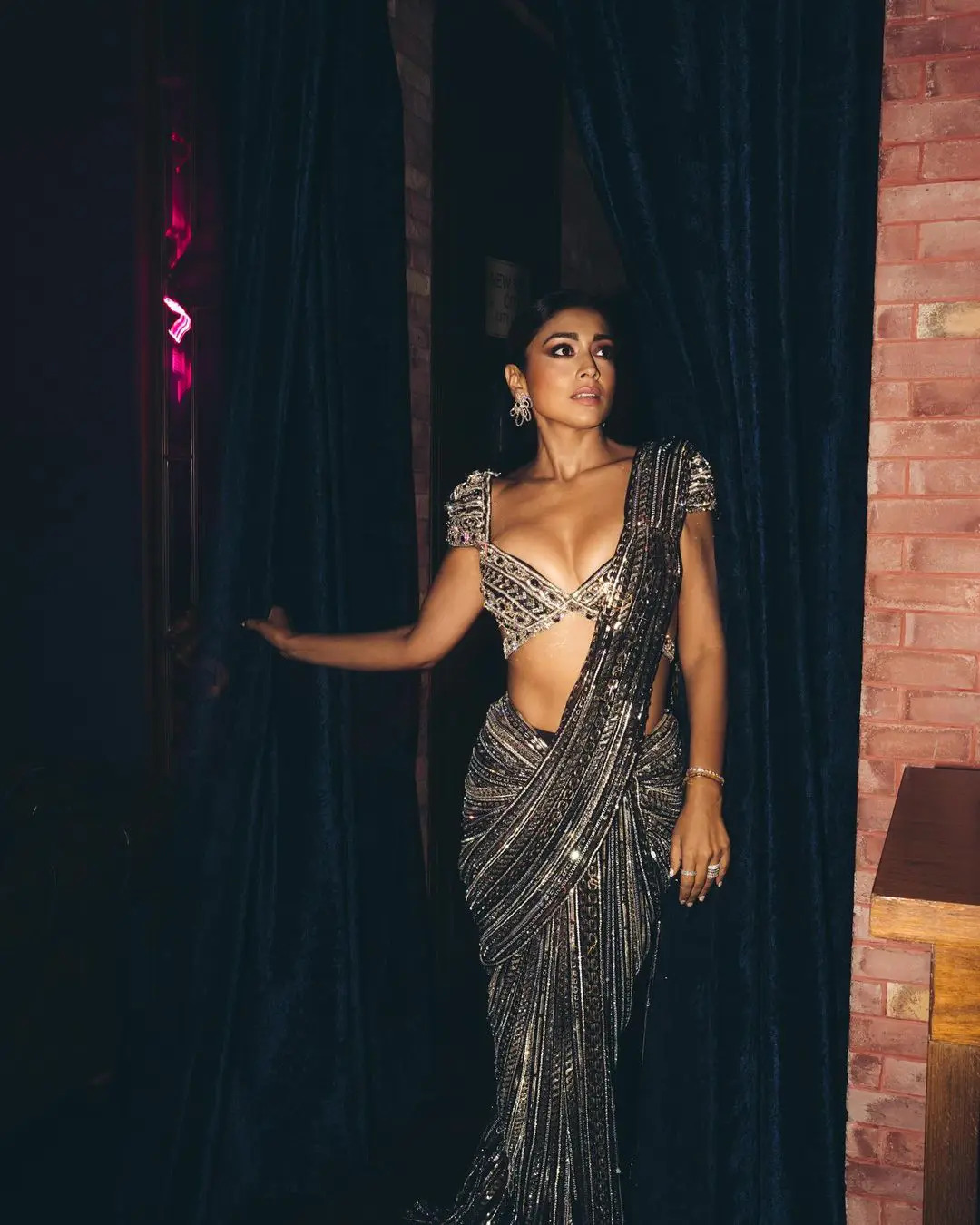 Shriya Saran Sizzling Photos in Shining Saree