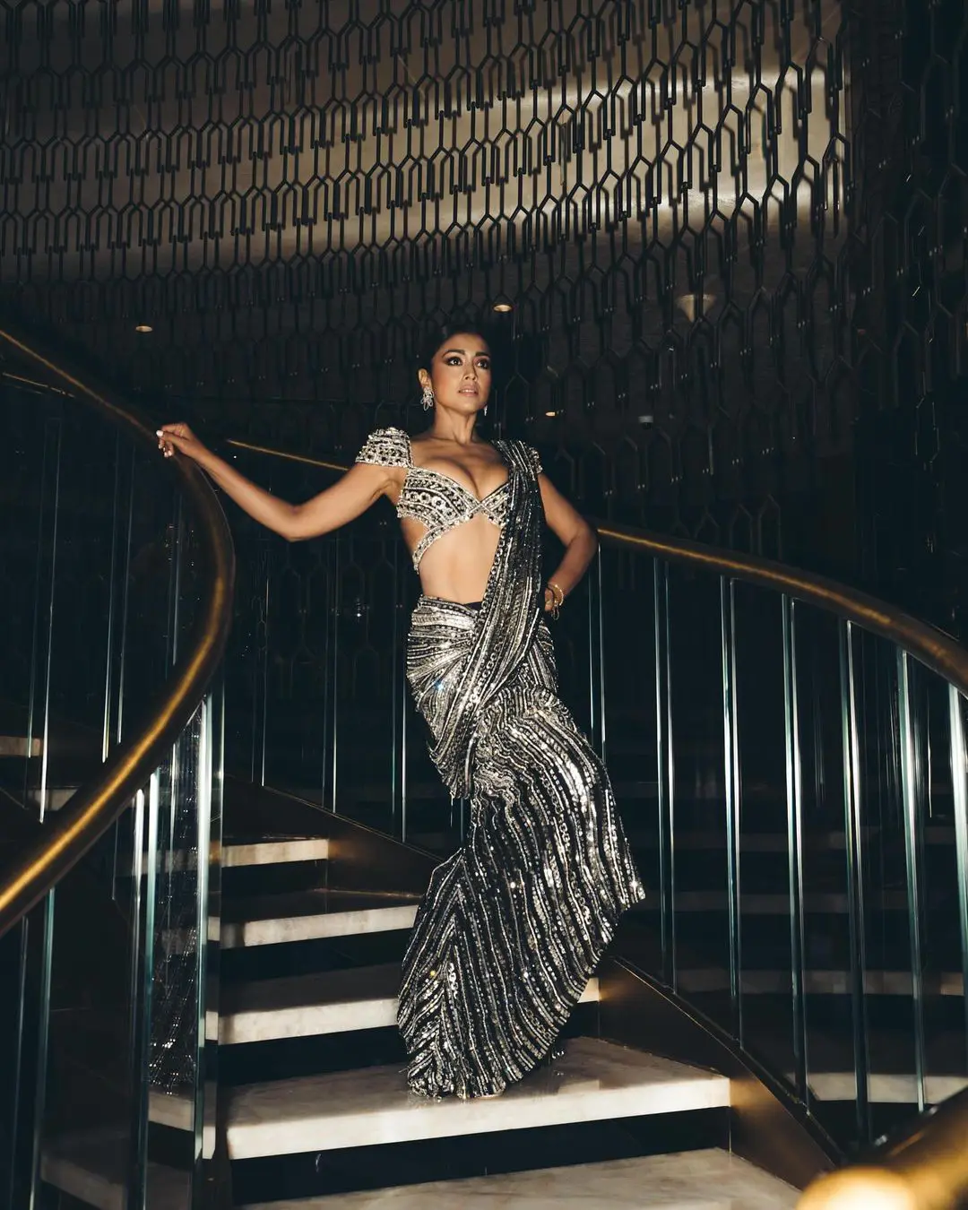 Shriya Saran Sizzling Photos in Shining Saree