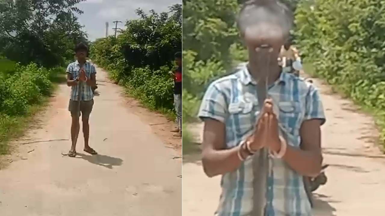 నాగుపామును నోట్లో పెట్టుకొని విన్యాసాలు.. ప్రాణాలు కోల్పోయిన యువకుడు నాగుపామును నోట్లో పెట్టుకొని విన్యాసాలు.. ప్రాణాలు కోల్పోయిన యువకుడు