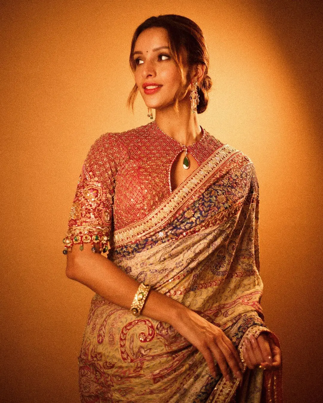 Bollywood Actress Triptii Dimri Photos in Saree