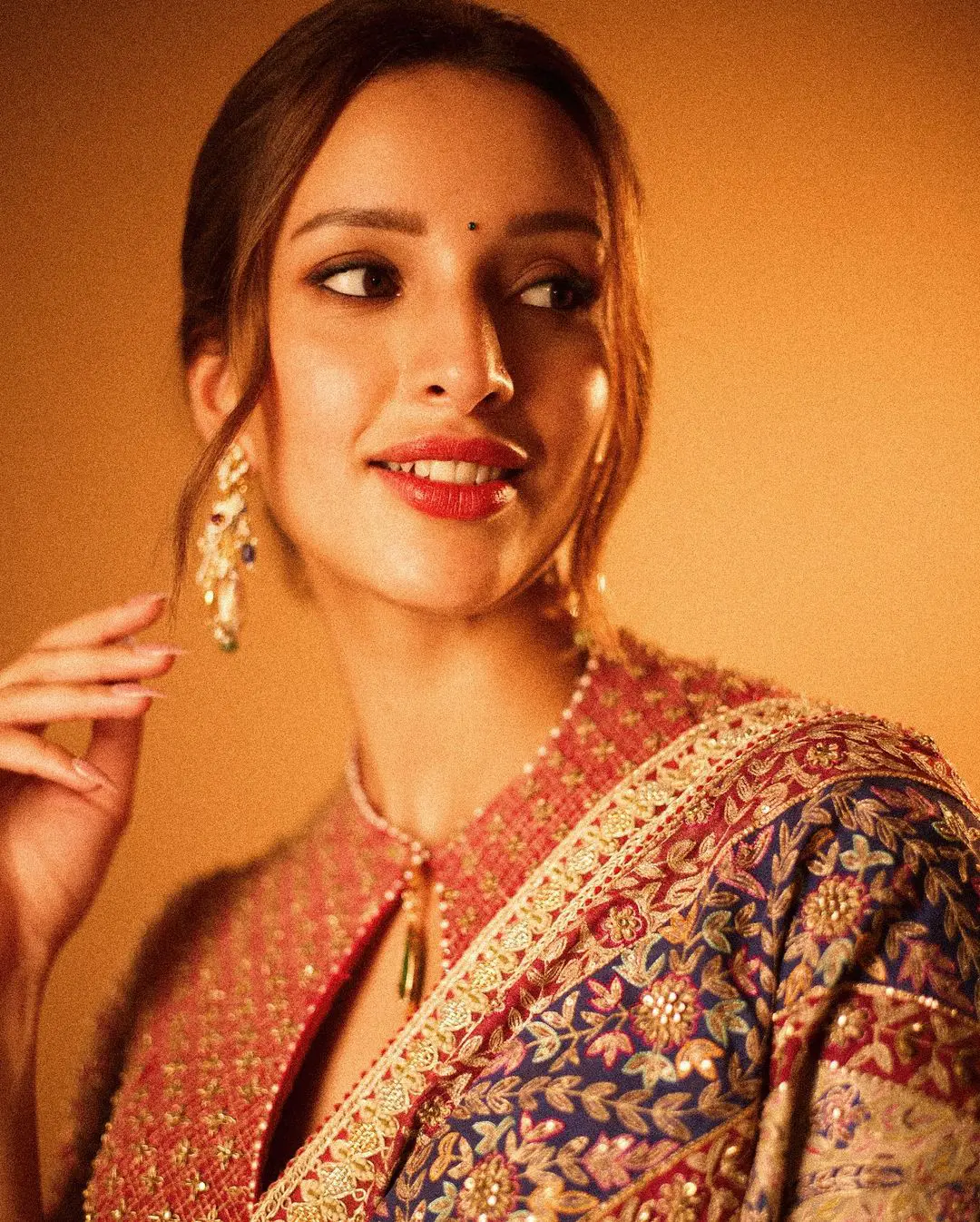 Bollywood Actress Triptii Dimri Photos in Saree