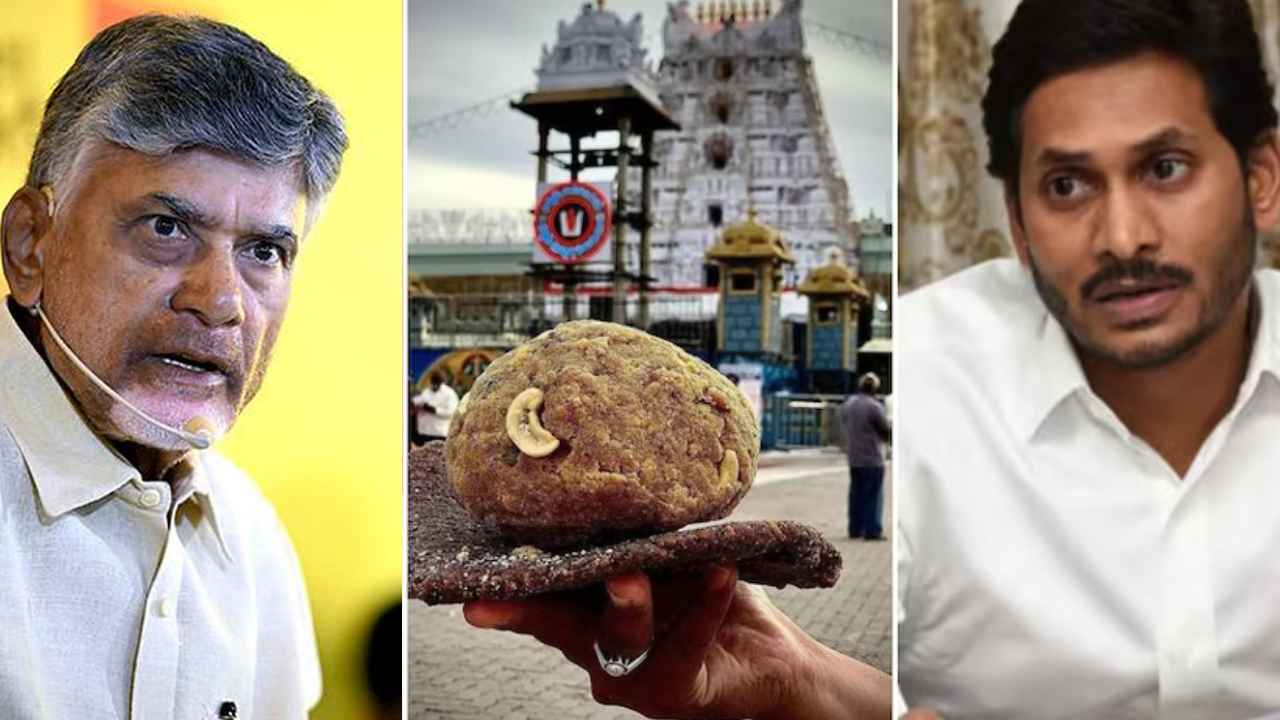 తిరుపతి కల్తీ నెయ్యి ఇష్యూలో షాకింగ్.. అరెస్టులు, ఉత్కంఠ.. అన్ని వేళ్లు అటువైపే చూపుతున్నాయ్! తిరుపతి కల్తీ నెయ్యి ఇష్యూలో షాకింగ్.. అరెస్టులు, ఉత్కంఠ.. అన్ని వేళ్లు అటువైపే చూపుతున్నాయ్!