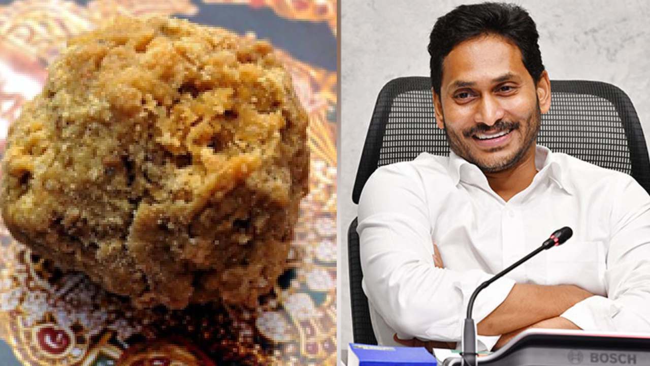 జగన్ తిరుపతి పర్యటన నేపథ్యంలో స్వామీజీల సమావేశం.. ఏమన్నారంటే? జగన్ తిరుపతి పర్యటన నేపథ్యంలో స్వామీజీల సమావేశం.. ఏమన్నారంటే?