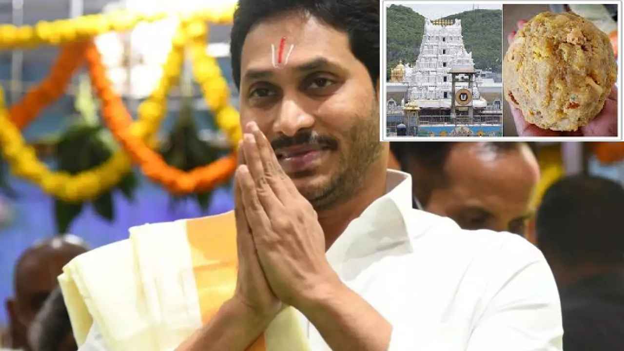 తిరుమల లడ్డూ వివాదం.. మాజీ సీఎం జగన్ కీలక నిర్ణయం, కాలినడకన తిరుమలకు.. తిరుమల లడ్డూ వివాదం.. మాజీ సీఎం జగన్ కీలక నిర్ణయం, కాలినడకన తిరుమలకు..