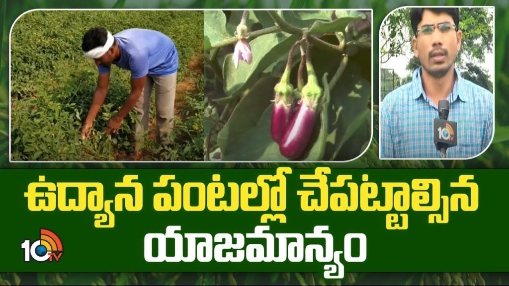 horticultural crop production and management in telugu