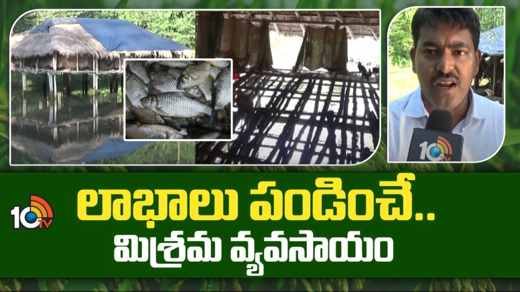profitable mixed farming in telugu states