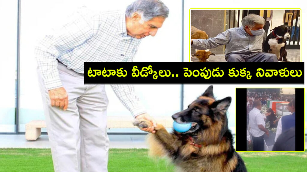 A Pet Dog Goa emotional Farewell to Ratan Tata, Video Viral