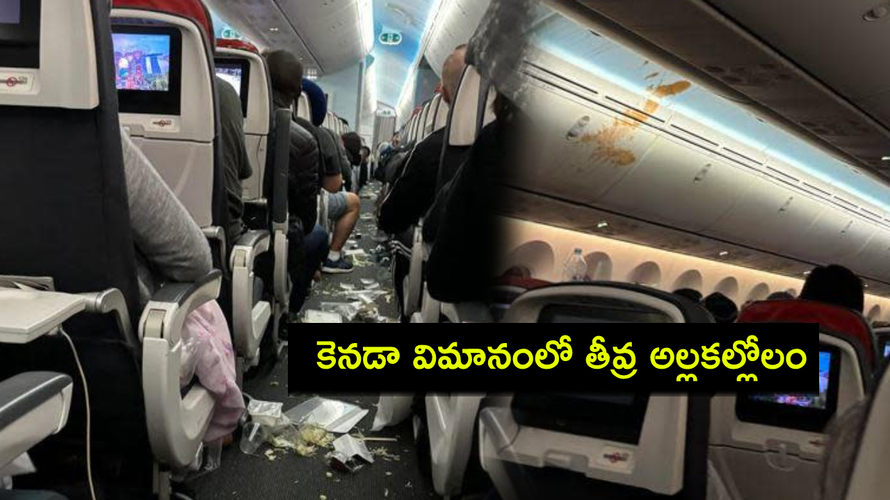 Air Canada Flight : కెనడా విమానంలో అల్లకల్లోలం.. క్యాబిన్లో ఎగిరిపడ్డ ప్రయాణికుల ఆహారం.. ఫొటోలు వైరల్! Air Canada Flight : కెనడా విమానంలో అల్లకల్లోలం.. క్యాబిన్లో ఎగిరిపడ్డ ప్రయాణికుల ఆహారం.. ఫొటోలు వైరల్!