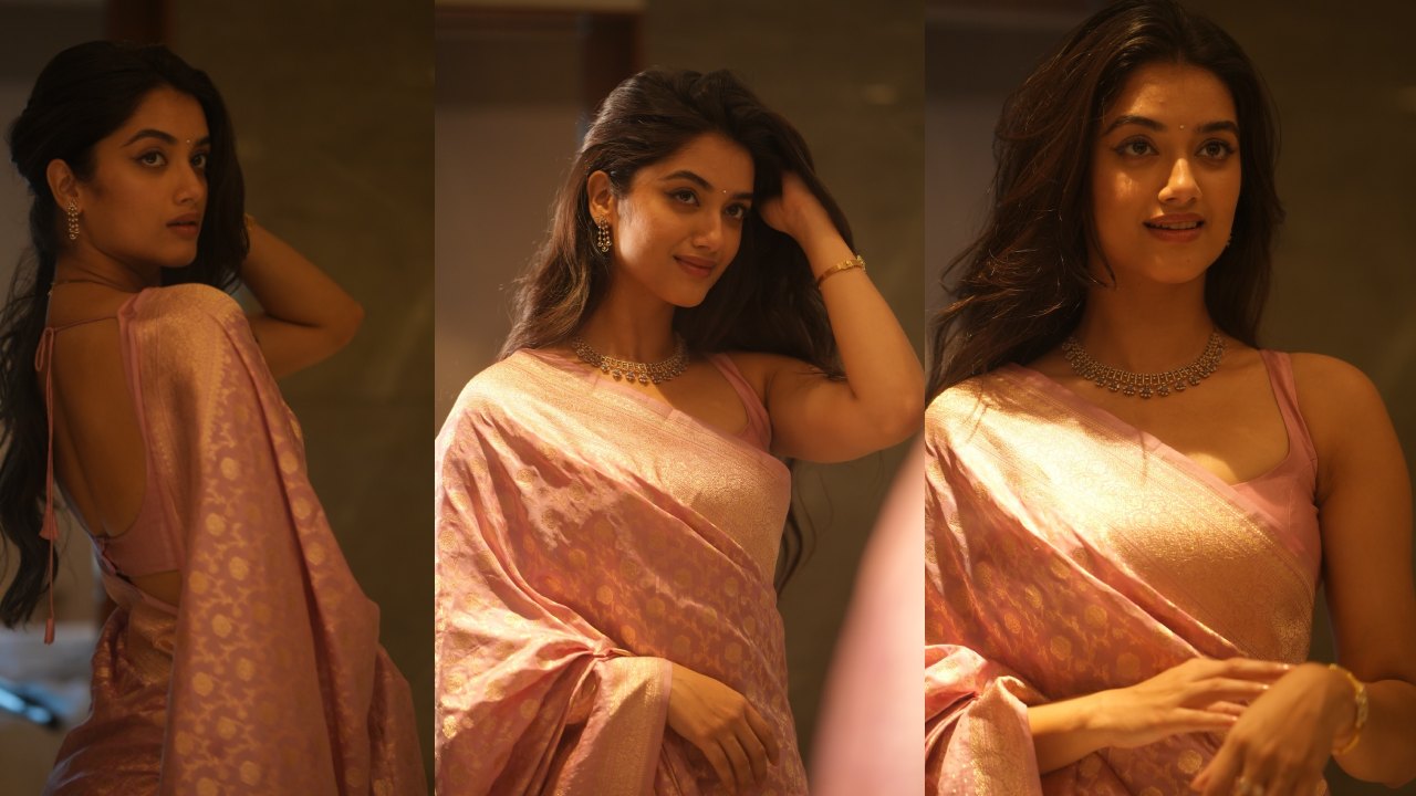 Bhagyashri Borse : మిస్టర్ బచ్చన్ భామ ఫొటోలు.. దసరా స్పెషల్ అదరగొట్టిందిగా..