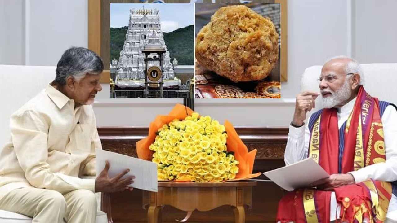 ప్రధాని ముందుకు తిరుమల లడ్డూ వివాదం..! కీలక అంశాలపై మోదీతో సీఎం చంద్రబాబు చర్చ.. ప్రధాని ముందుకు తిరుమల లడ్డూ వివాదం..! కీలక అంశాలపై మోదీతో సీఎం చంద్రబాబు చర్చ..
