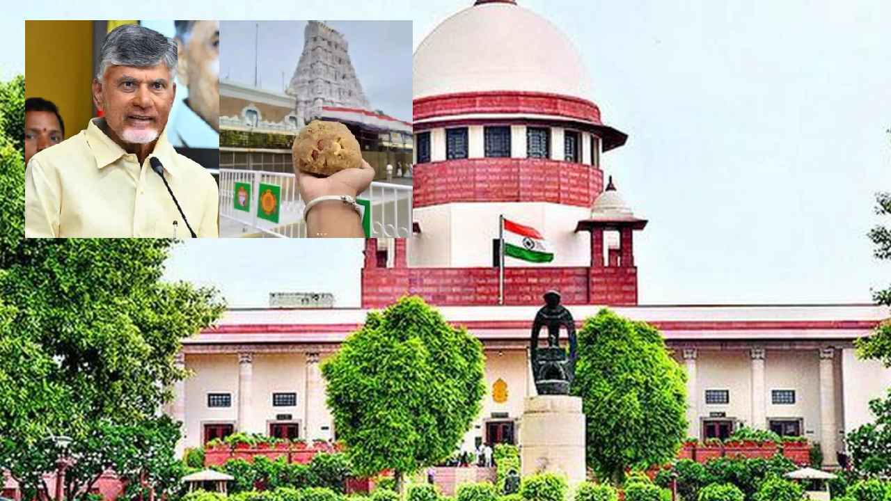 తిరుమల లడ్డూ వివాదం.. సుప్రీంకోర్టు తీర్పుపై సీఎం చంద్రబాబు కీలక కామెంట్.. తిరుమల లడ్డూ వివాదం.. సుప్రీంకోర్టు తీర్పుపై సీఎం చంద్రబాబు కీలక కామెంట్..