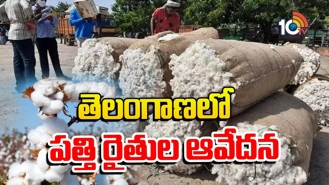 Cotton Farmers : తెలంగాణ‎లో పత్తి రైతుల ఆవేదన