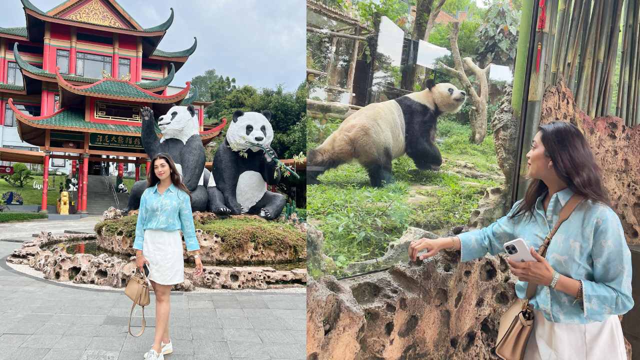 Digangana Suryavanshi : ఇండోనేషియాలో పాండాలతో ఎంజాయ్ చేస్తున్న హీరోయిన్..