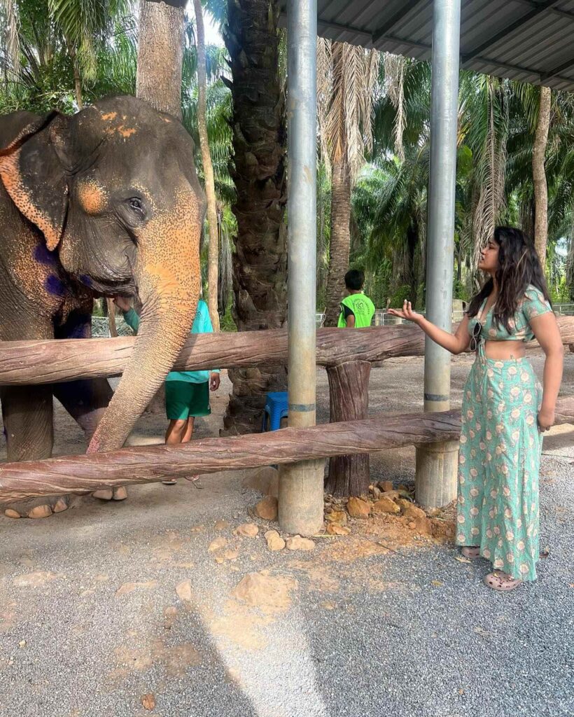 Dimple Hayati Tattooed Elephant Face on her Leg and Shares Photos with Elephants