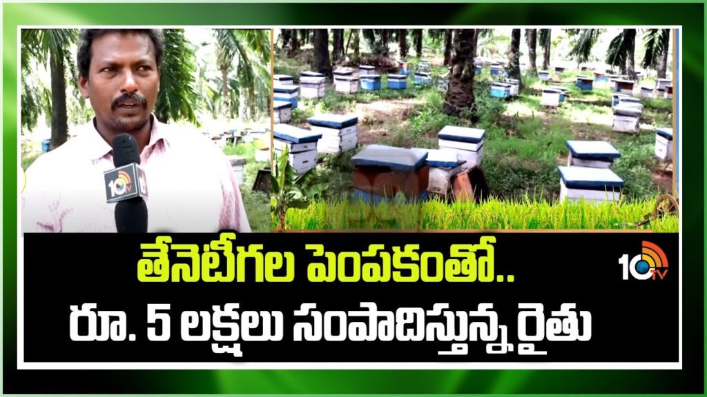 Honey Harvesting