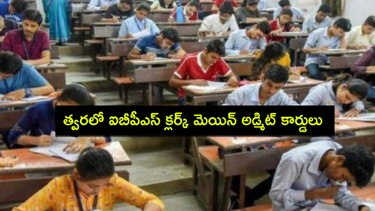 IBPS Clerk Main Exam : త్వరలో ఐబీపీఎస్ క్లర్క్ మెయిన్ ఎగ్జామ్ 2024 అడ్మిట్ కార్డులు విడుదల.. ఎలా డౌన్లోడ్ చేసుకోవాలంటే? IBPS Clerk Main Exam : త్వరలో ఐబీపీఎస్ క్లర్క్ మెయిన్ ఎగ్జామ్ 2024 అడ్మిట్ కార్డులు విడుదల.. ఎలా డౌన్లోడ్ చేసుకోవాలంటే?