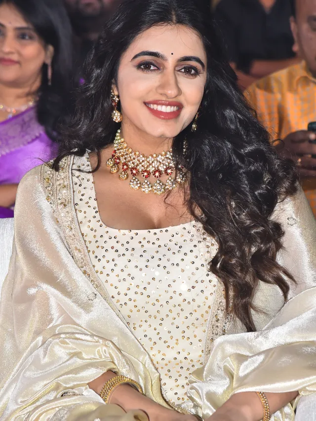 Lucky Baskhar Pre Release Event