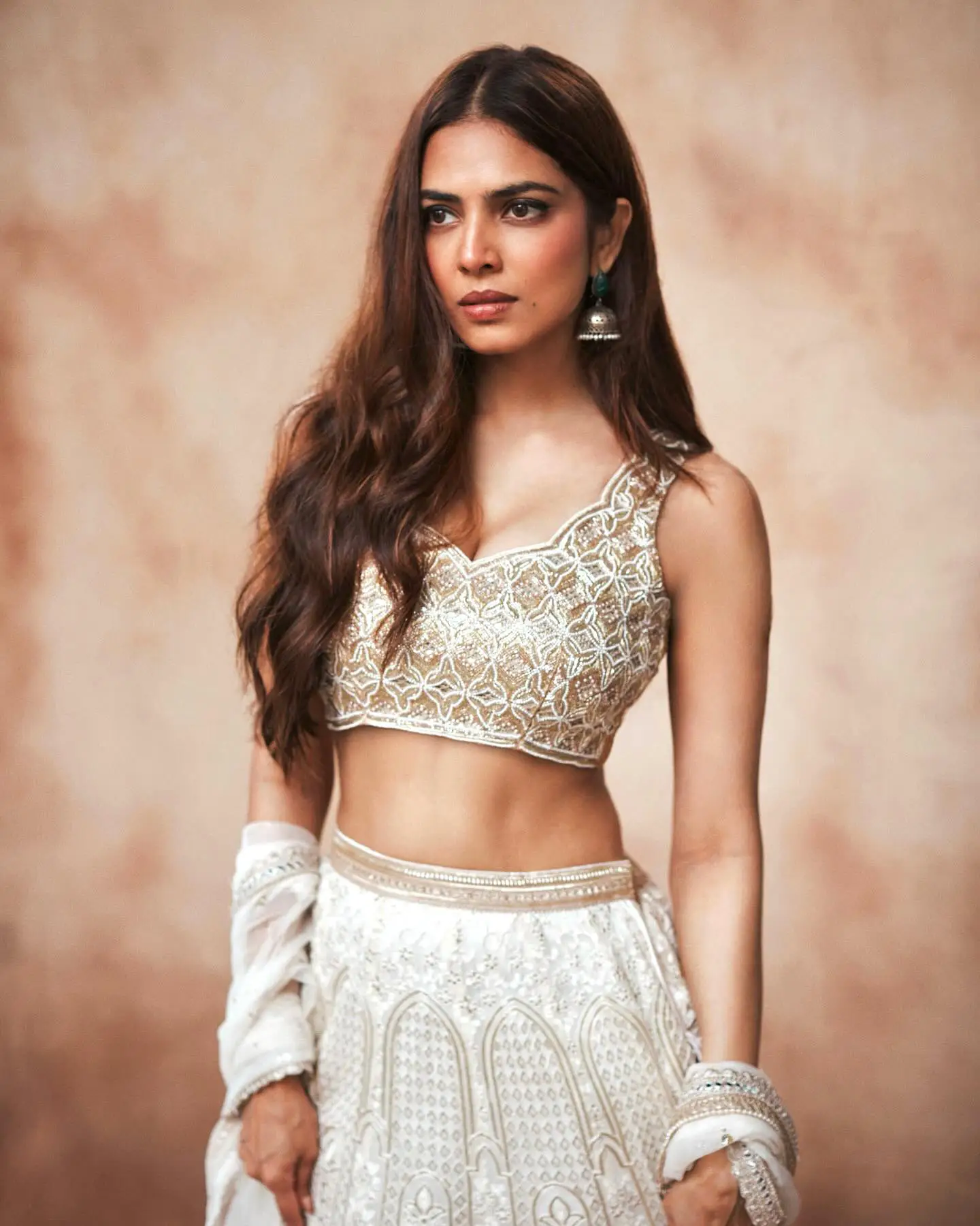 Malavika Mohanan Elegant Looks in Traditional Dress