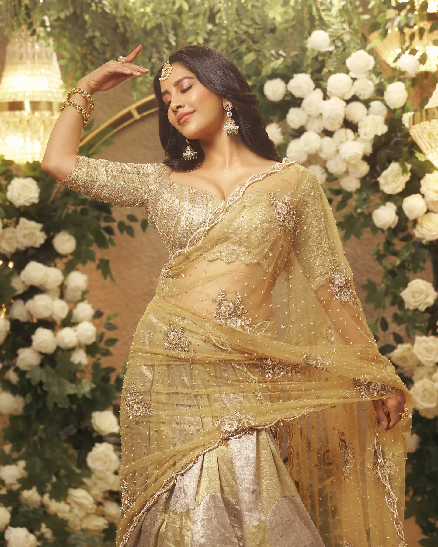 Nabha Natesh Shines like Gold in Saree